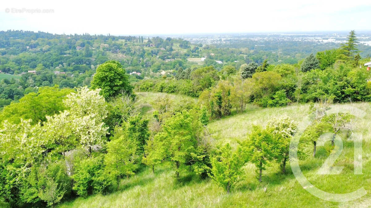 Terrain à TOULOUSE