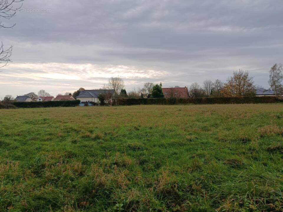 Terrain à SAINT-BENOIT-DES-OMBRES