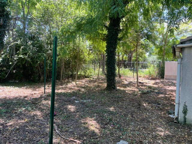 Maison à SAINT-ANDRE-DE-SANGONIS