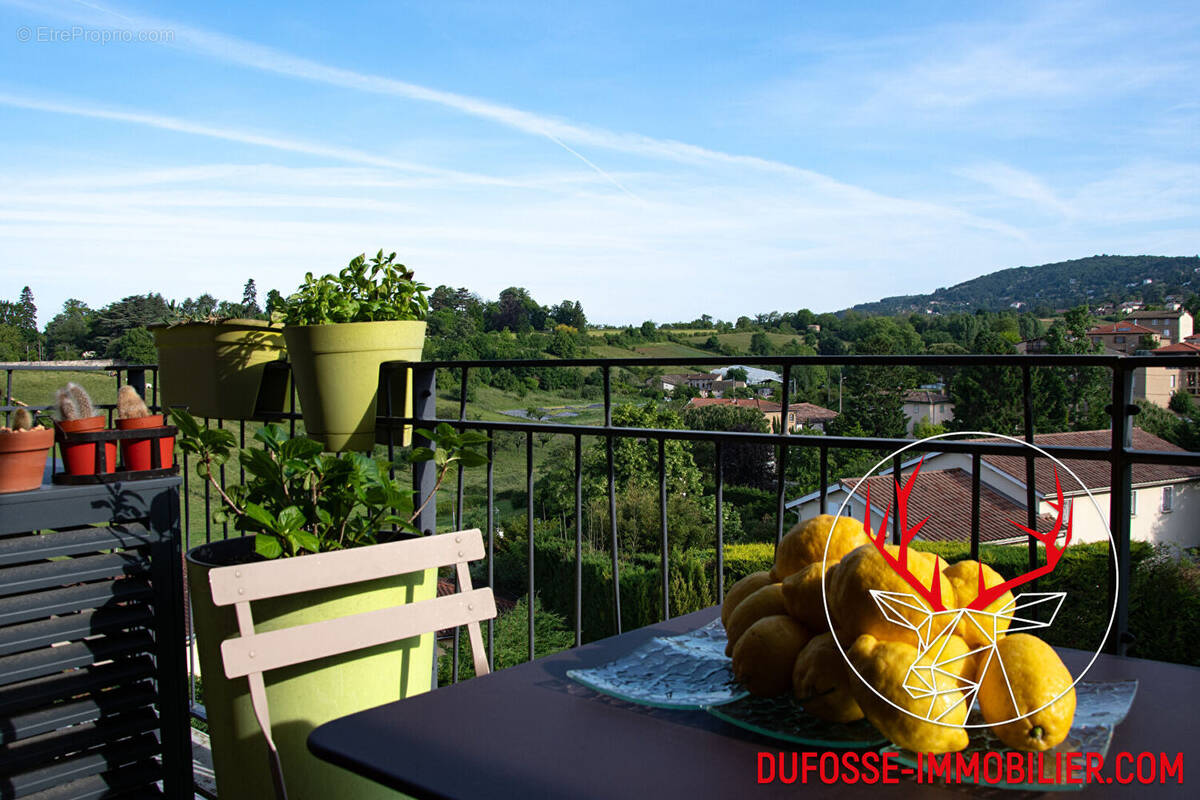 Appartement à SAINT-DIDIER-AU-MONT-D'OR