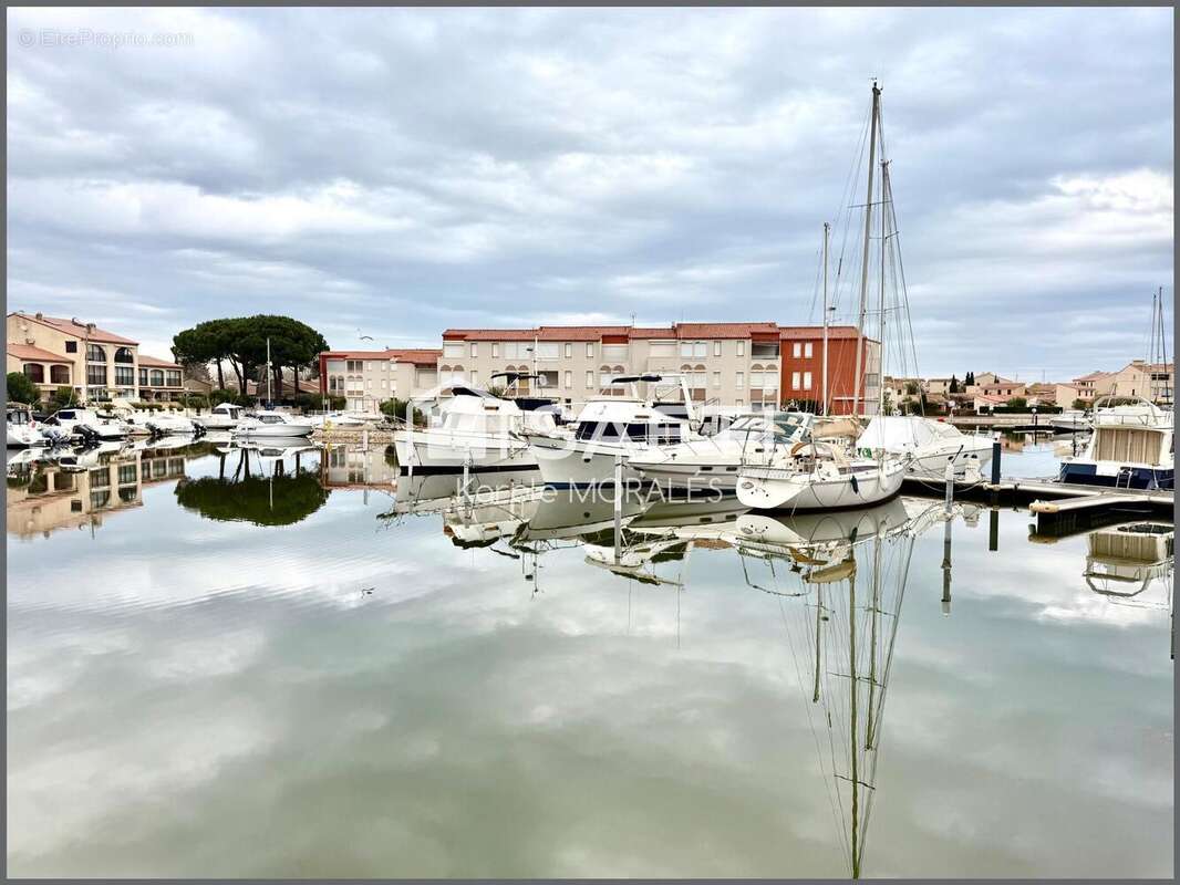 Photo 3 - Commerce à SAINT-CYPRIEN