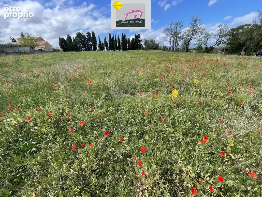 Beau terrain plat viabilisé hors lotissement - photo 2
