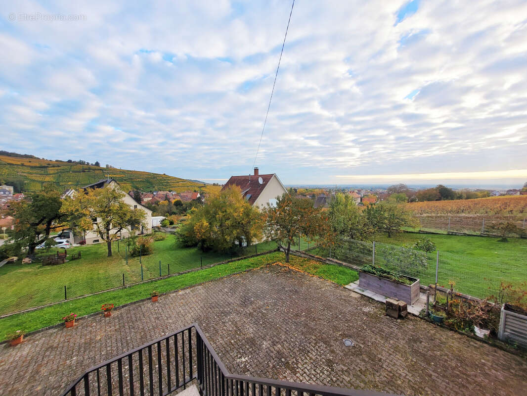 Maison à RIBEAUVILLE