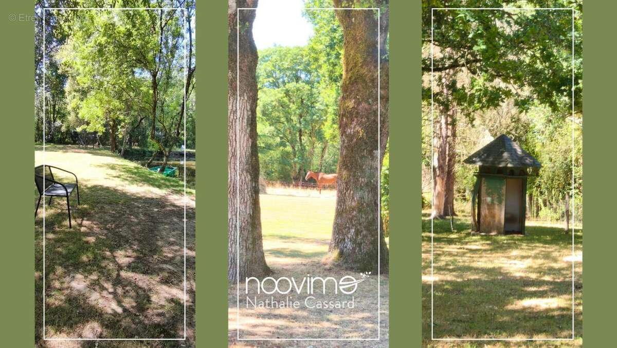 Domaine de caractère avec gîte indépendant, piscine et parc - photo 5