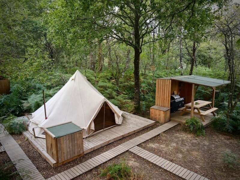 Opportunité d'affaires exceptionnelle : domaine de 24 hectares comprenant 15 hectares d'étangs, parfait pour divers projets tour - photo 10