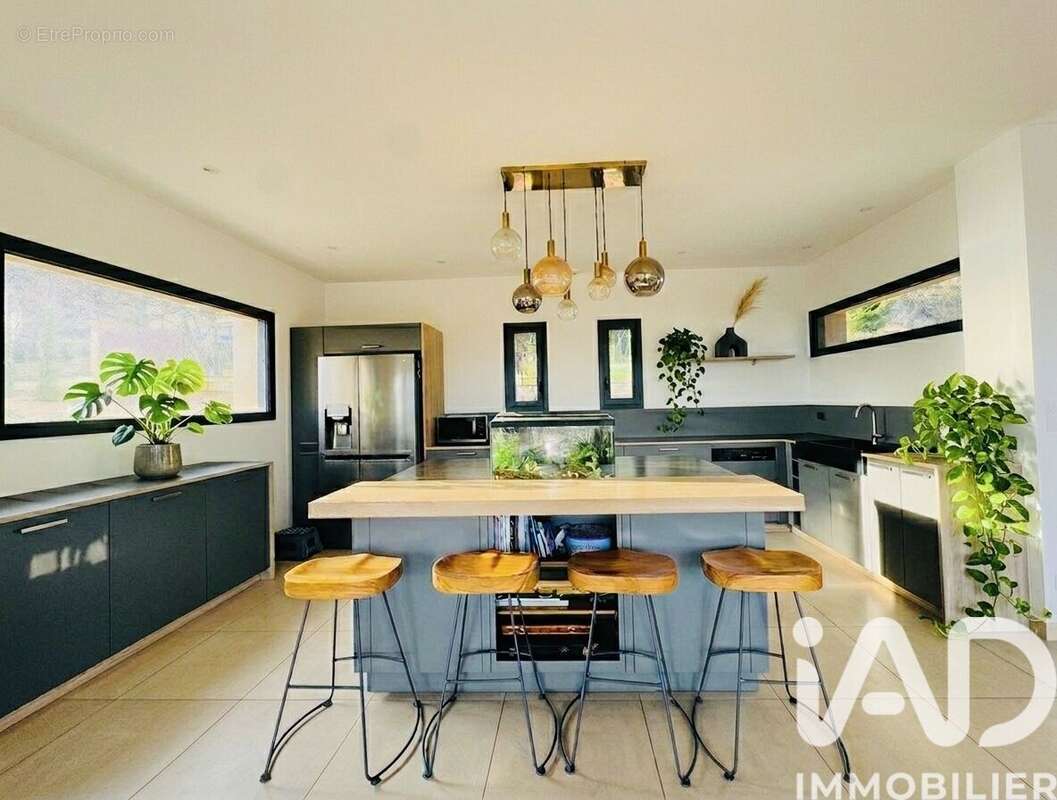 Photo 6 - Maison à POLEYMIEUX-AU-MONT-D'OR