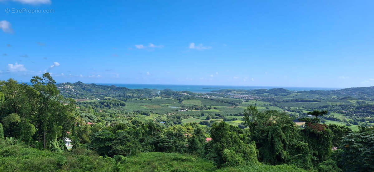 Maison à LE FRANCOIS