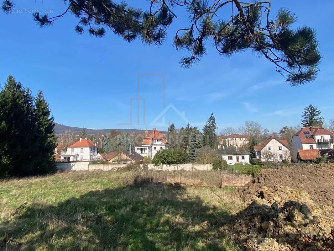 Terrain à WISSEMBOURG