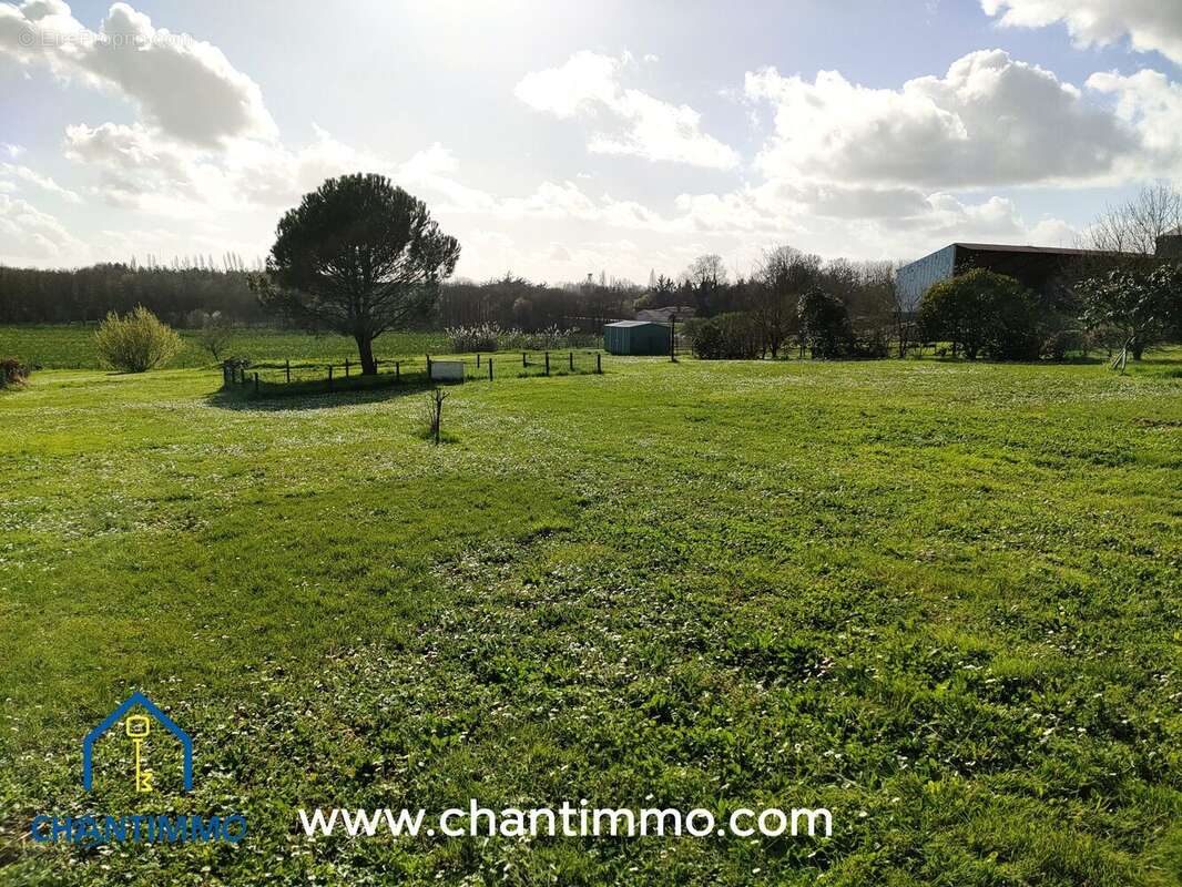 Maison à SAINTE-HERMINE