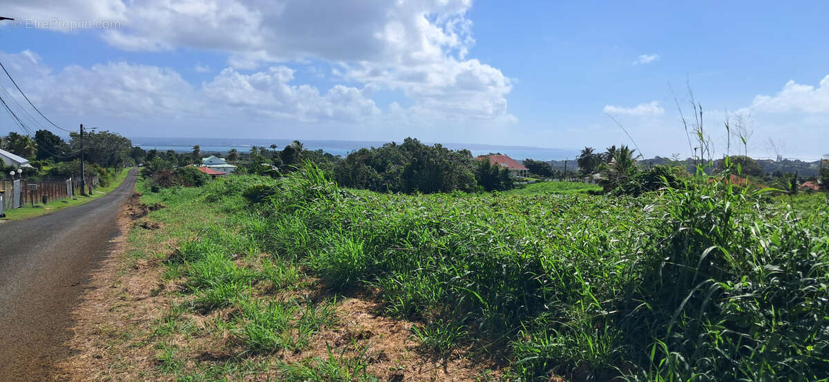 Terrain à PETIT-BOURG