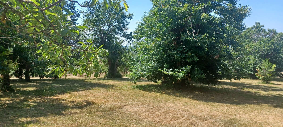 Maison à VAREN