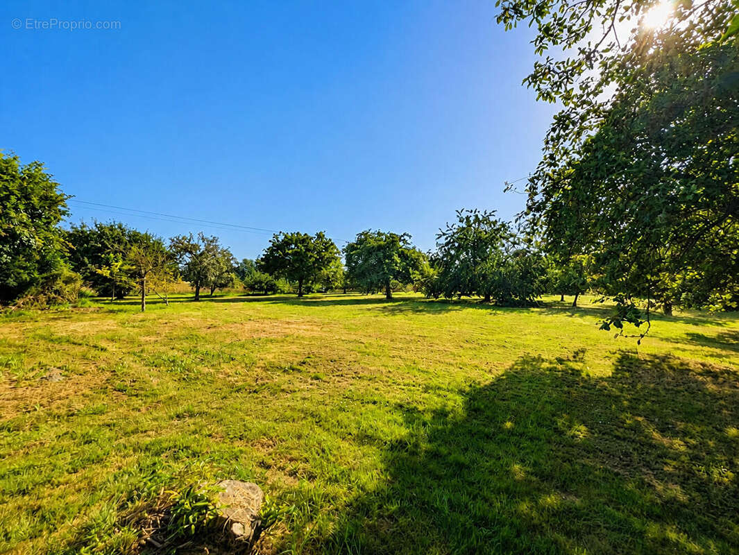 Maison à vendre Mont Dol, 5 chambres, avec dépendances/hangars, sur 9864m² de terrain. - photo 4