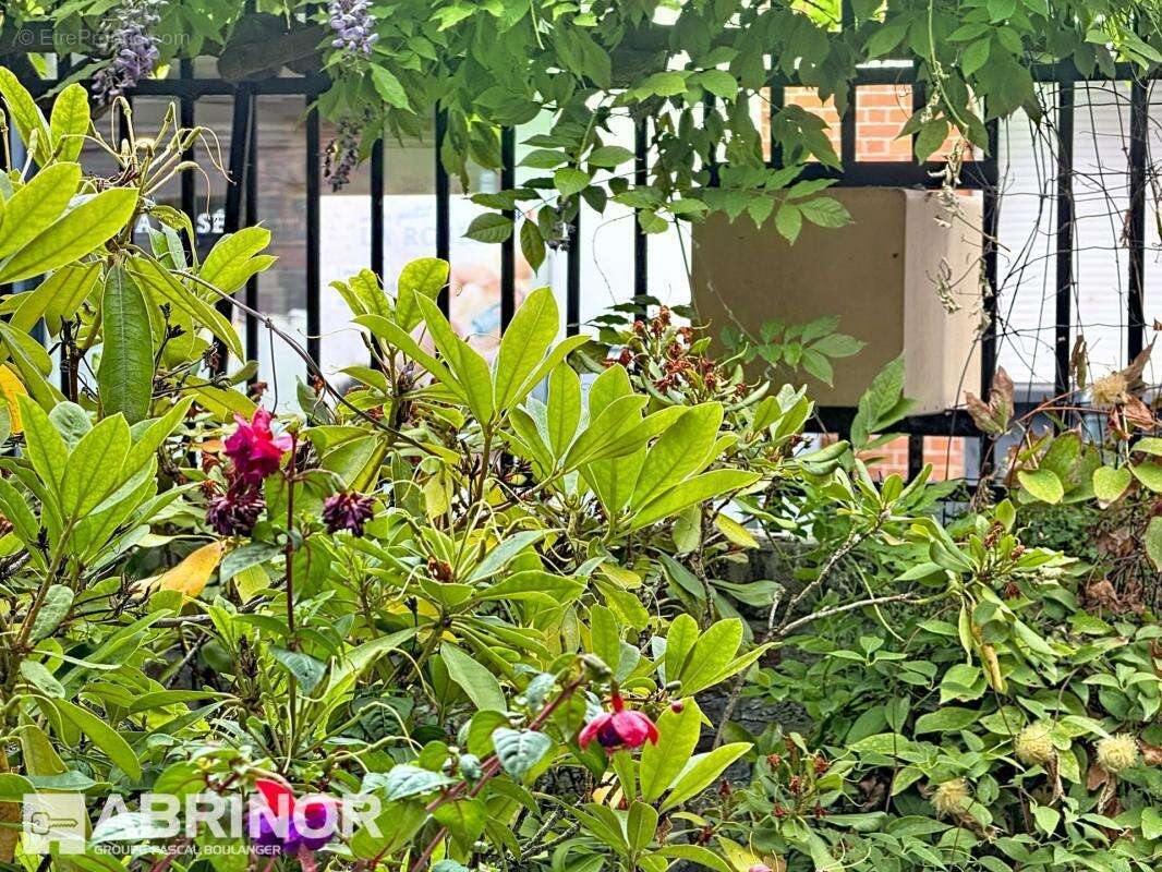 Maison semi flamande 3 chambres jardin - photo 3