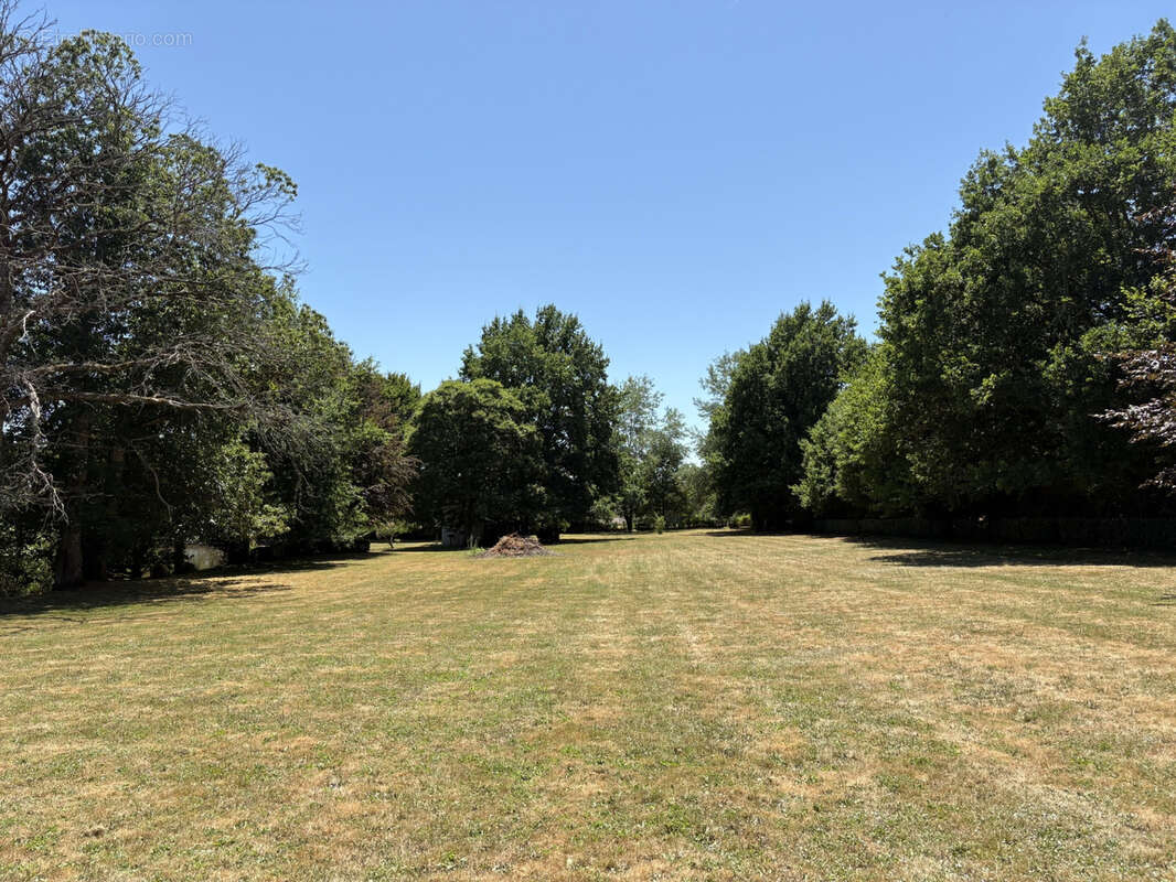 Coussac Bonneval Propriété exceptionnelle avec etang et 2.86 hecatres sans voisinage proche - photo 37