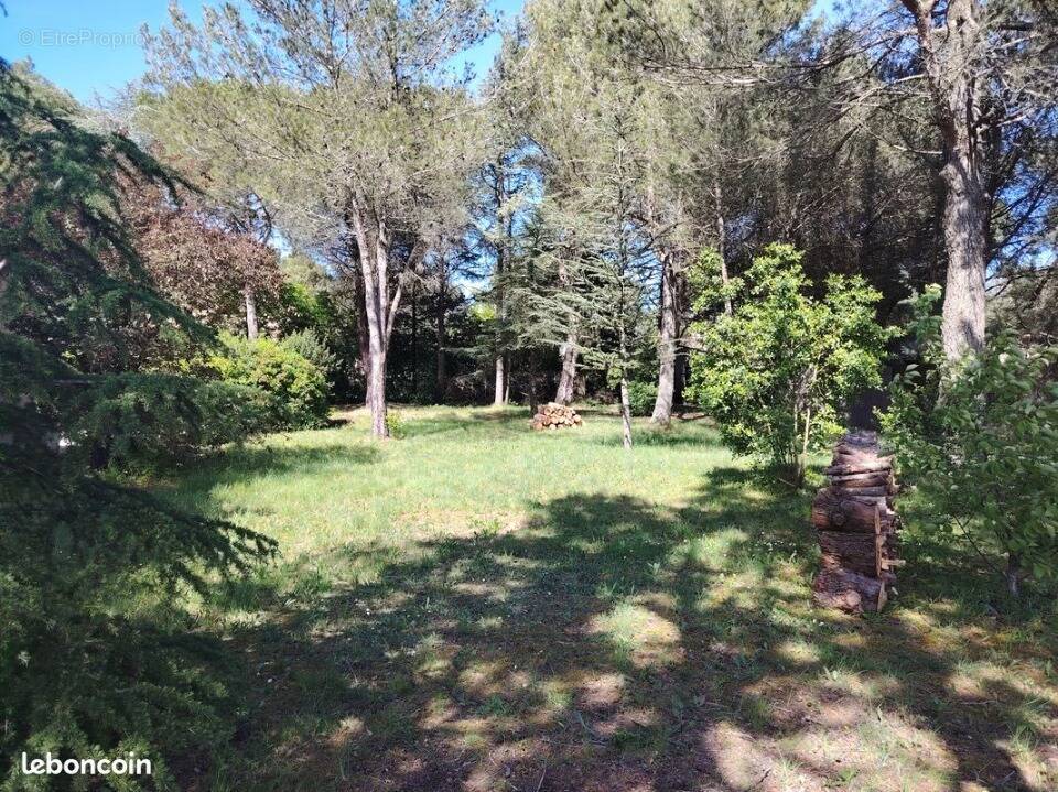 Terrain à VILLEMOUSTAUSSOU