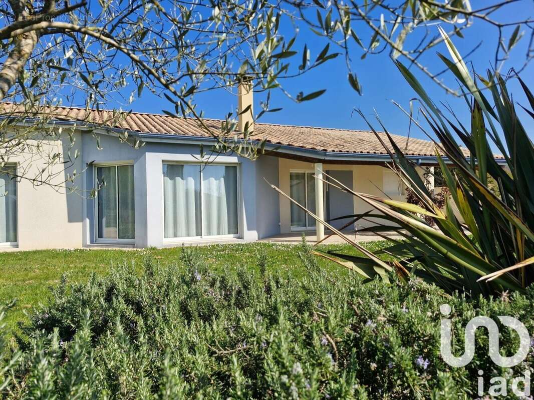 Photo 8 - Maison à LAMOTHE-MONTRAVEL