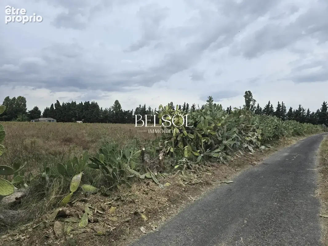 Photo Terrain à Elne au prix de 197 000€