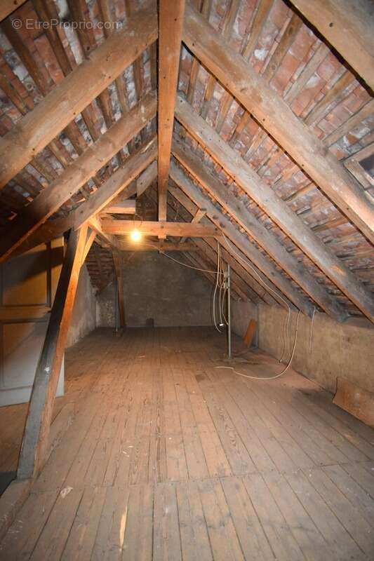 Maison bourgeoise des années 30 - Jardin de plus de 20 ares - photo 22