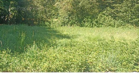 Terrain à BOURGNEUF-EN-RETZ