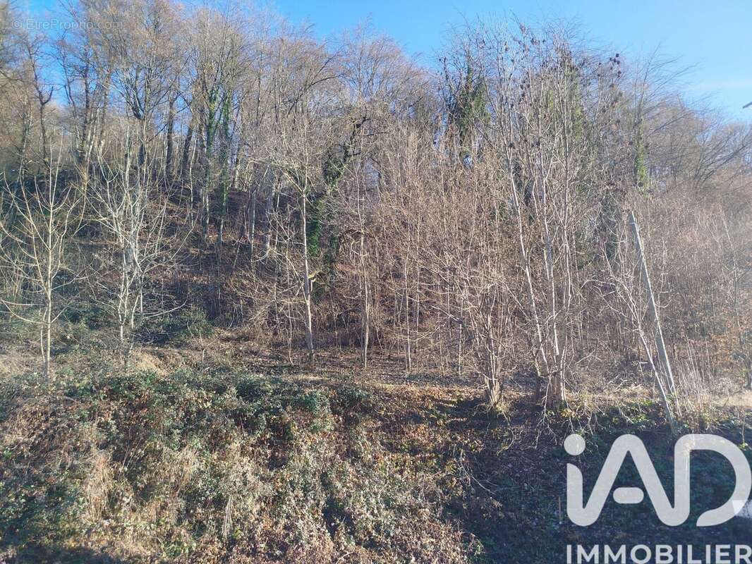 Photo 6 - Terrain à CESARCHES