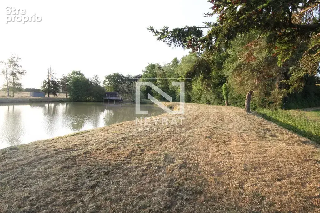 Etang avec sources - photo 13