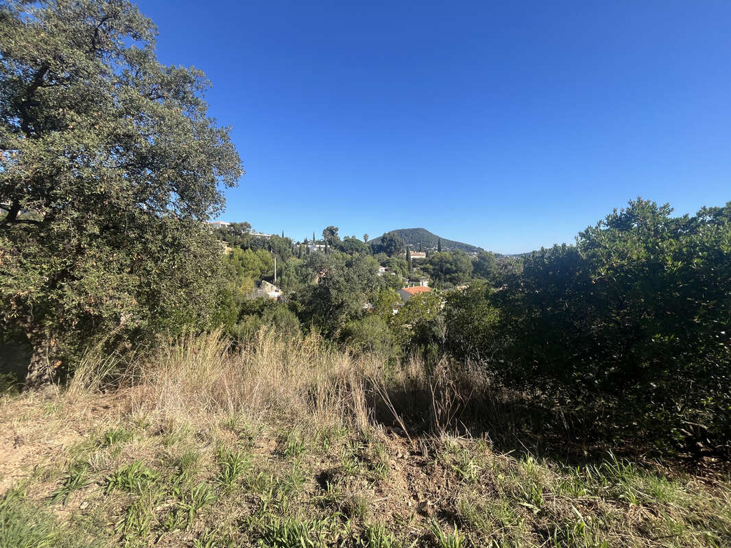 Terrain à CARQUEIRANNE