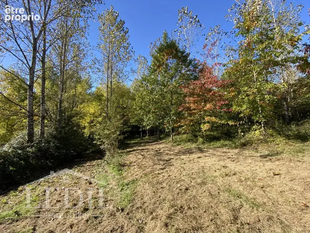 Parcelles Forestière et Bois - photo 4