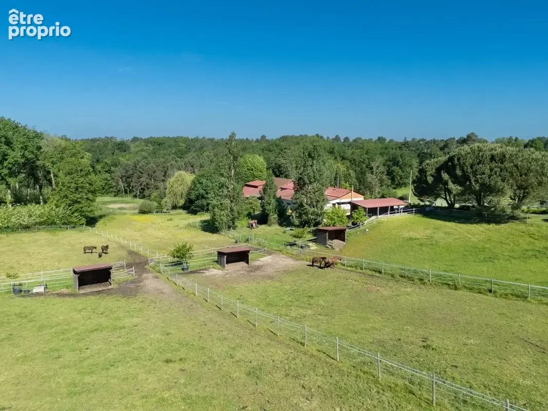 Dpt Dordogne (24), à vendre BERGERAC propriété P7 - terrain de 87000 m2 - photo 36