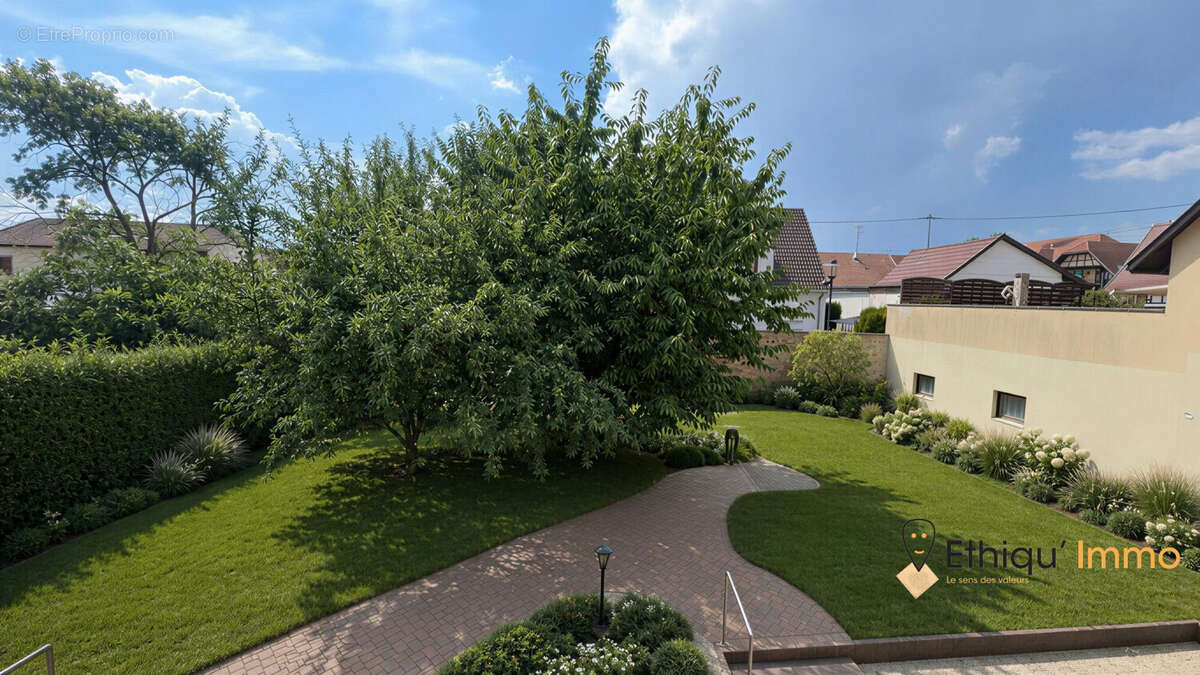 Maison 200 m² à Oberschaeffolsheim  - photo 4
