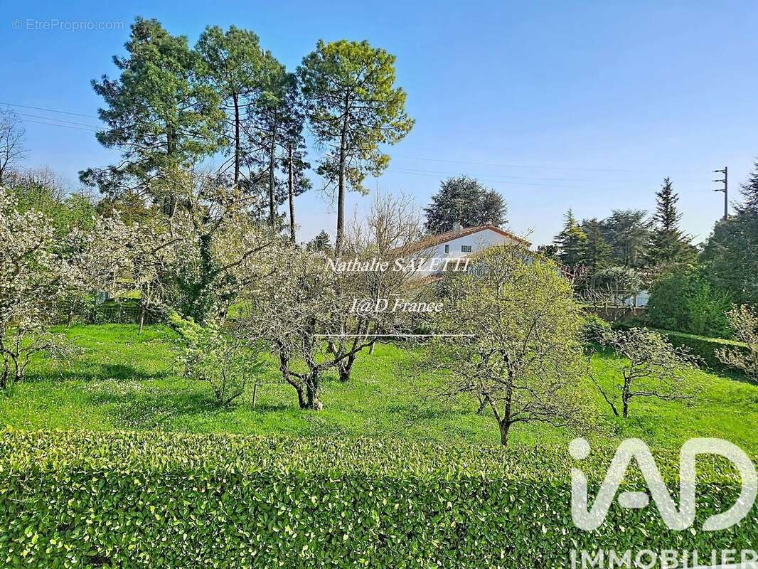 Photo 5 - Terrain à BON-ENCONTRE