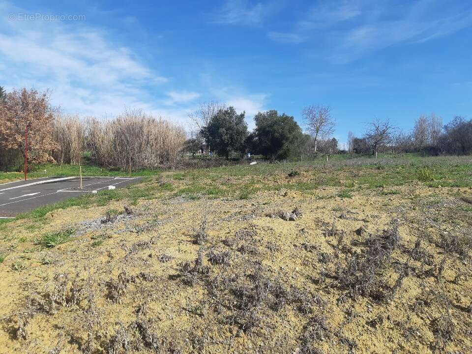 Terrain à VILLENEUVE-LES-BOULOC