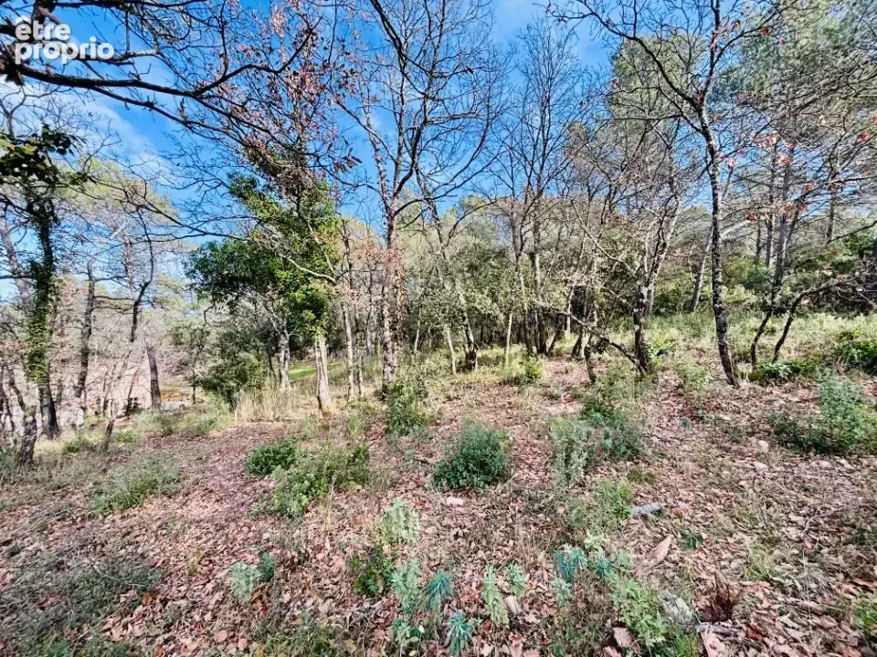 Terrain 964 m² à Rocbaron  - photo 4