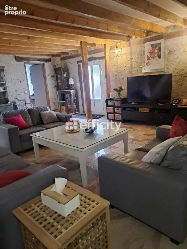 Maison 306 m² à Saint-Avertin  - photo 6