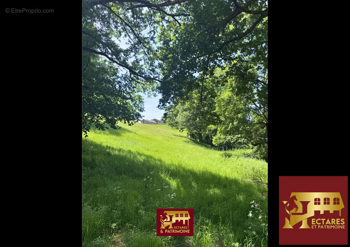 Domaine de caractère et activité touristique au coeur du haut-quercy - photo 6