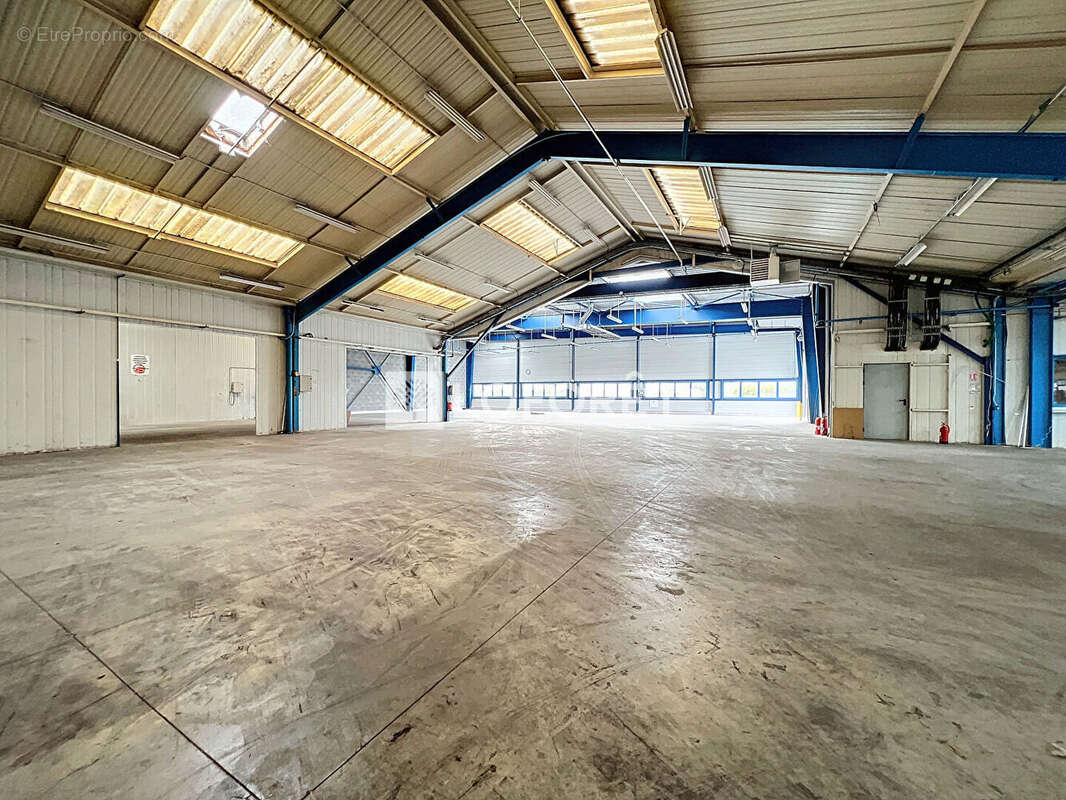 Entrepôt / local industriel Le Puy Notre Dame 4500 m2 - photo 8