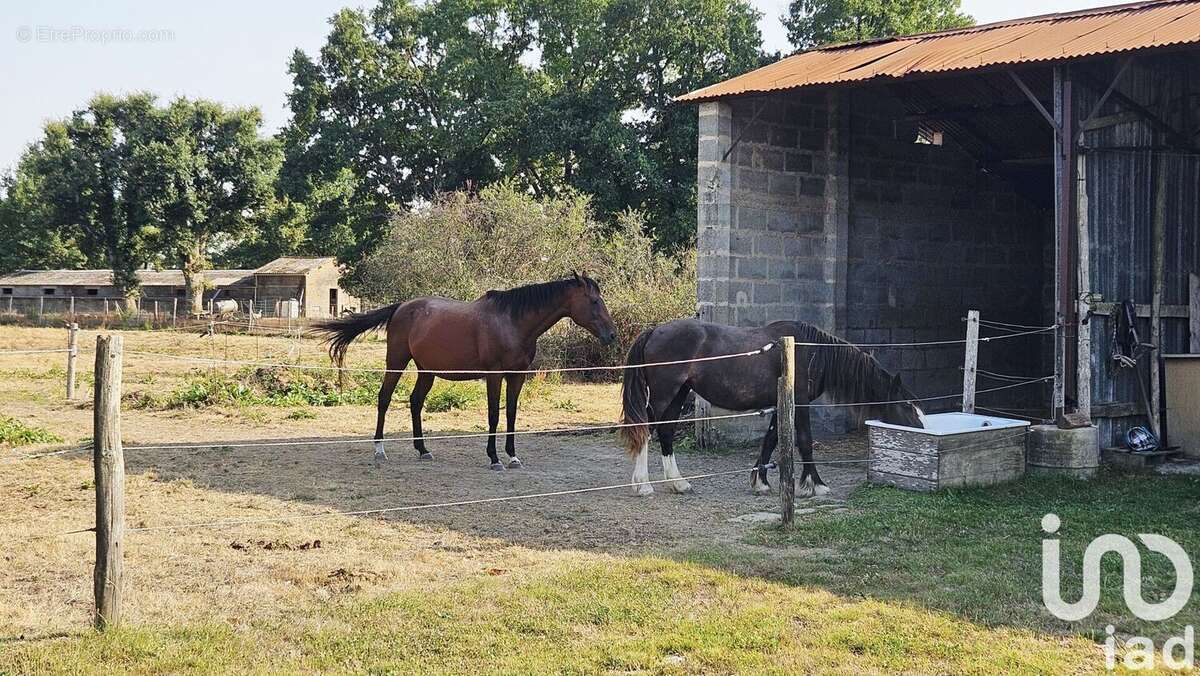 Photo 3 - Maison à LA CHAIZE-LE-VICOMTE