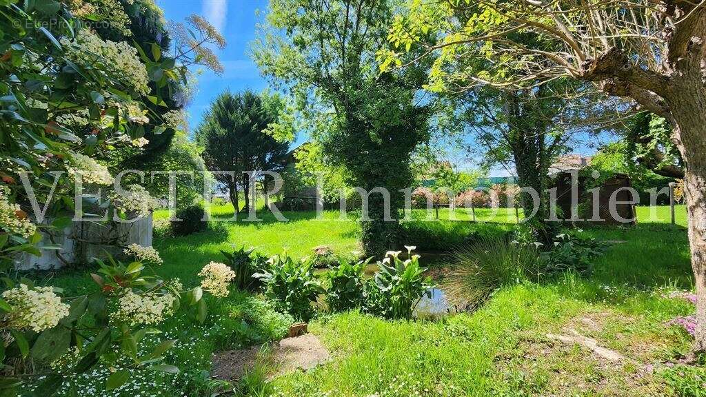 Maison ancienne rénovée de 130m2 + 130m2 aménageables, dans un écrin de verdure - photo 19