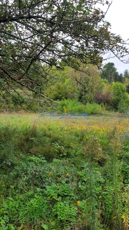 Chamborigaud, terrain de 1300 m2 - photo 5