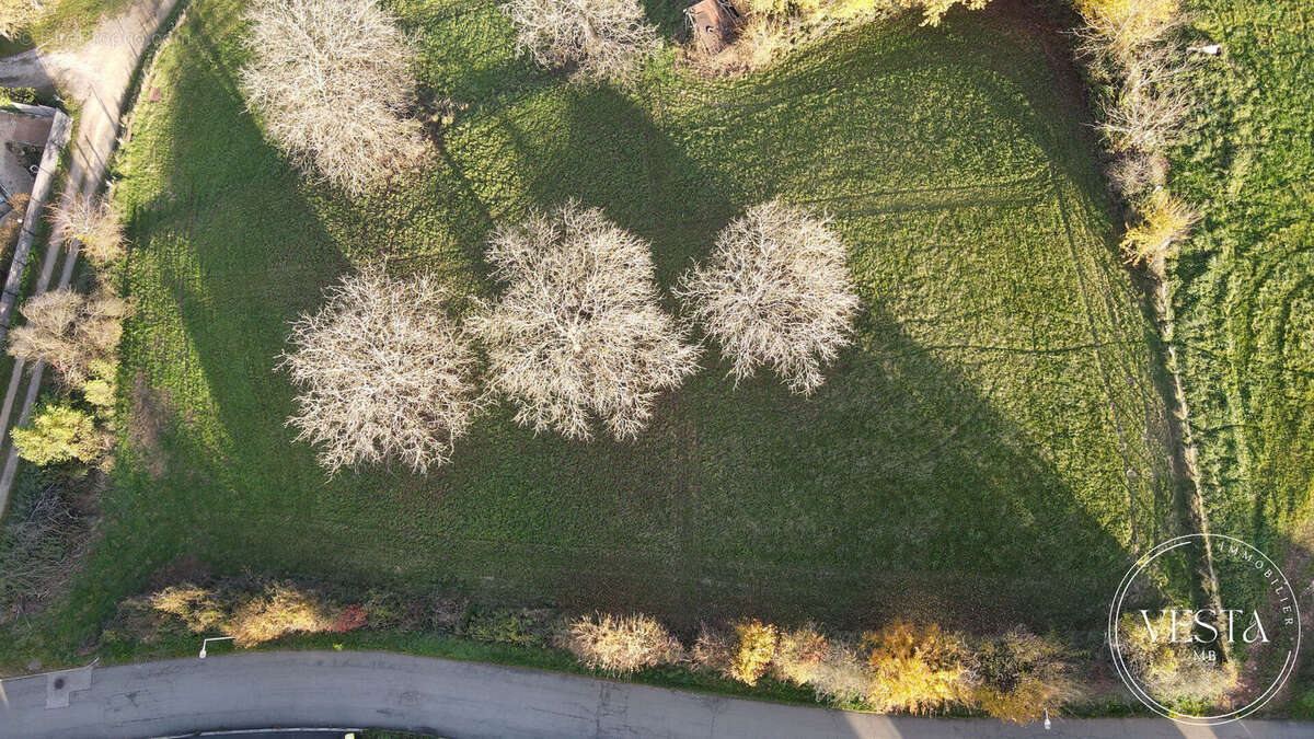 Terrain à MONTENOIS