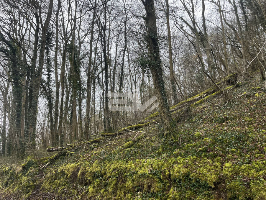 Terrain à VAILLY-SUR-AISNE