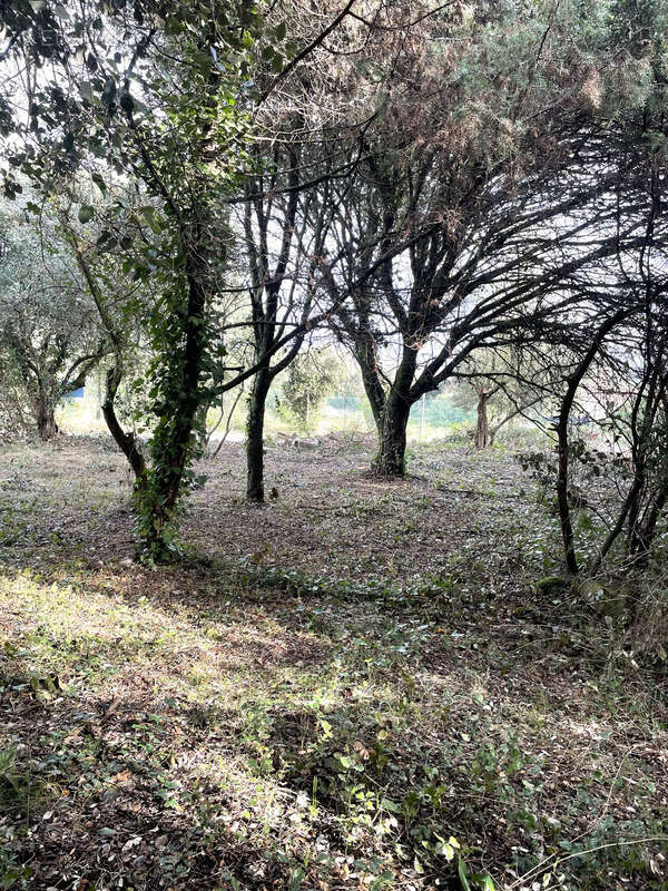 Terrain à COLLIAS