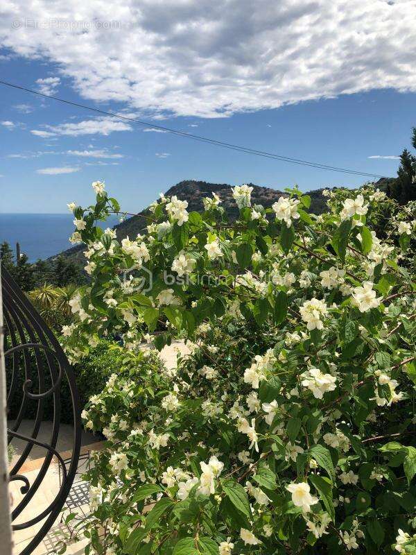 Magnifique Villa vue mer - photo 11