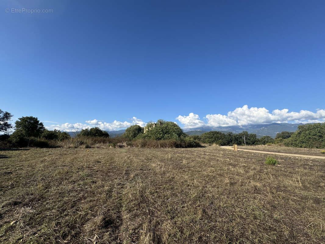 Terrain à GHISONACCIA