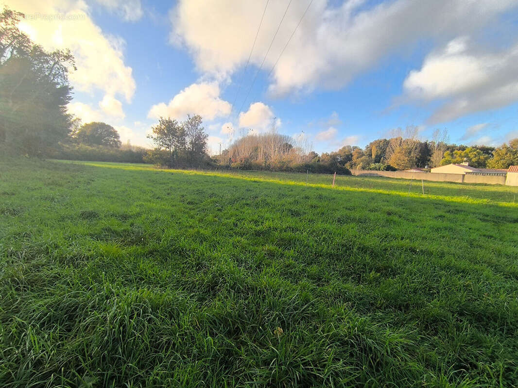 Terrain à COMMEQUIERS