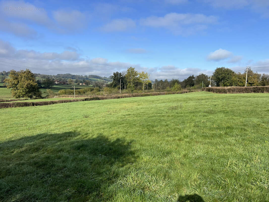 Maison à COLOMBIER-EN-BRIONNAIS