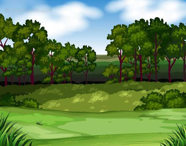 Terrain à FESTIEUX