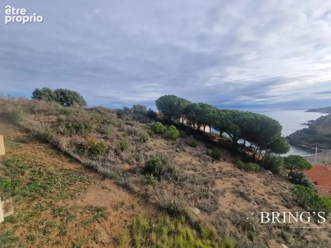 Appartement 57 m² à Banyuls-Sur-Mer  - photo 3