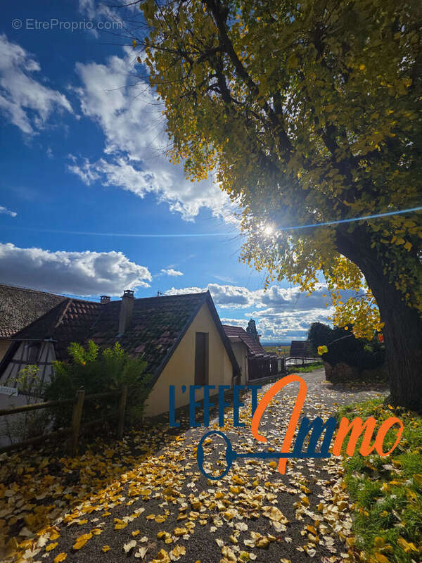 Commerce à ZELLENBERG