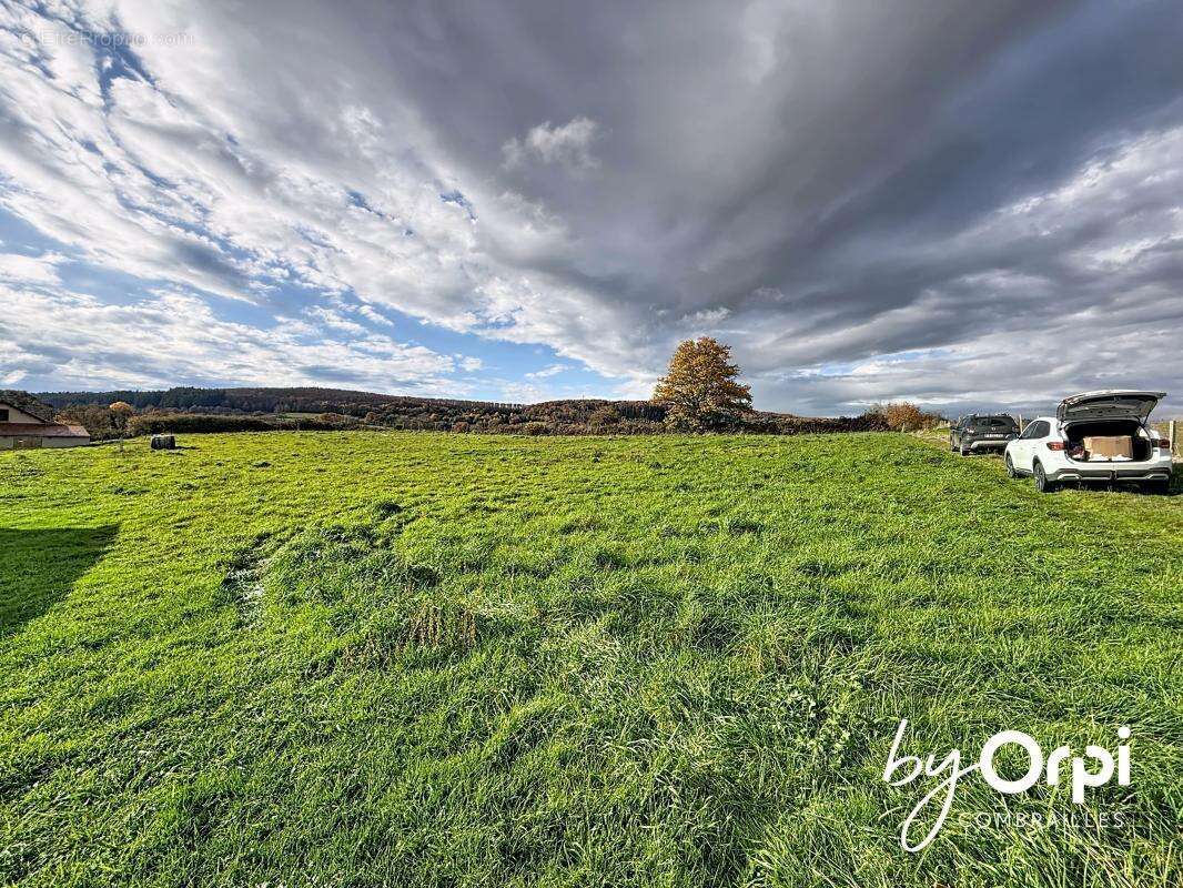 Terrain à YOUX
