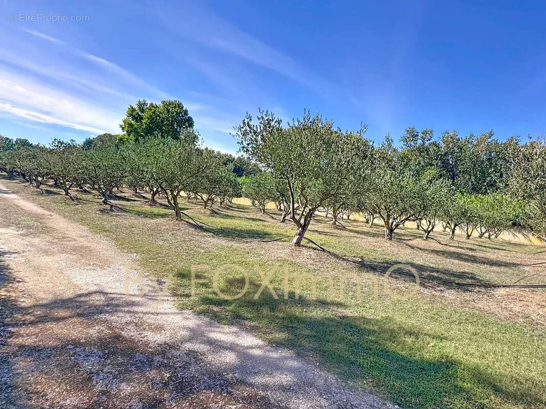 Un domaine d’exception au cœur des Alpilles - photo 22